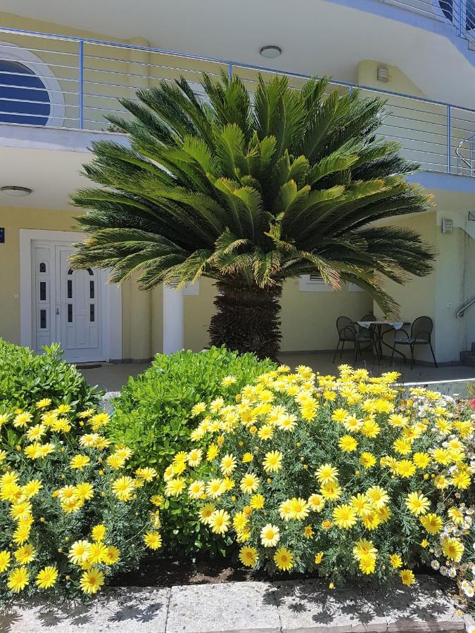 Villa Maestral Zadar Luaran gambar