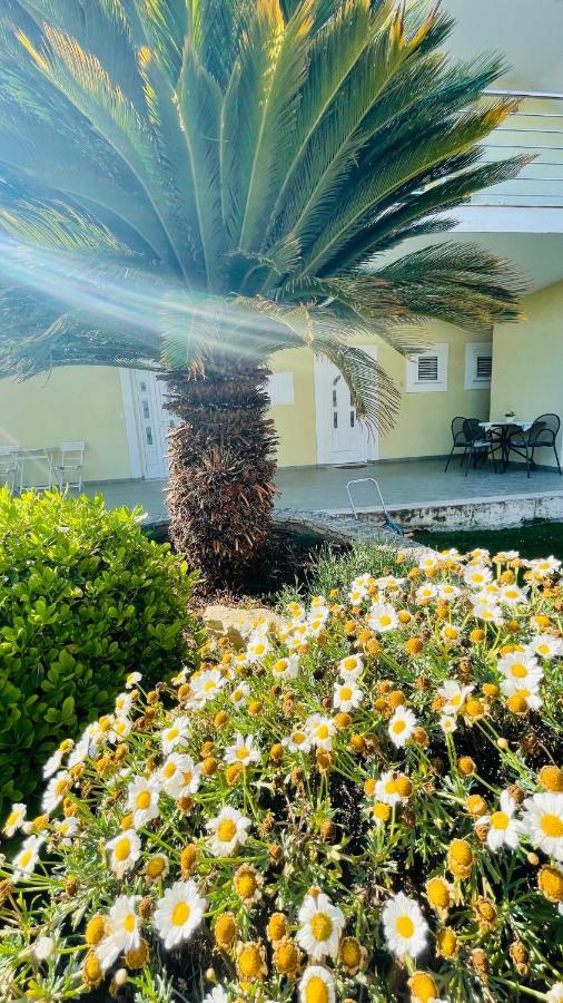 Villa Maestral Zadar Luaran gambar